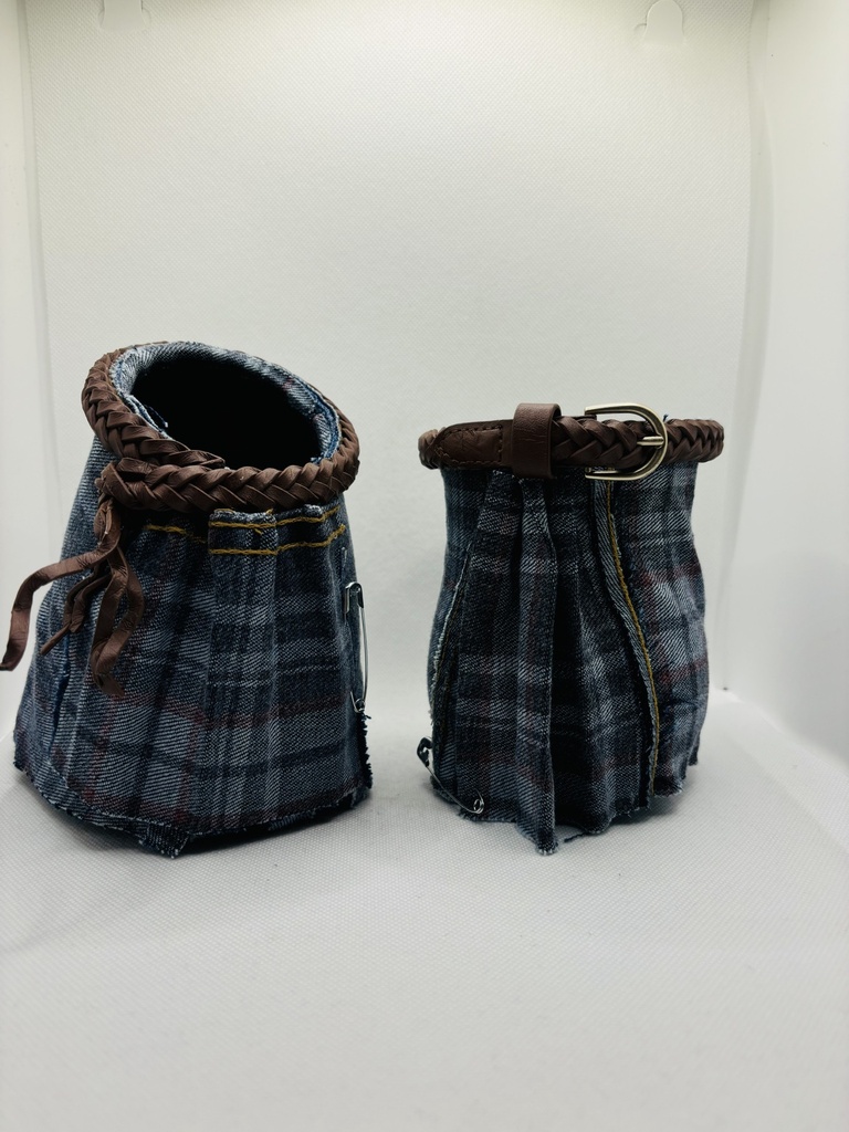 Le couple d'Ecossais