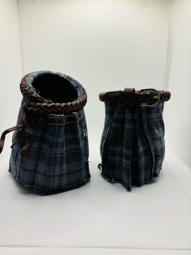 Le couple d'Ecossais