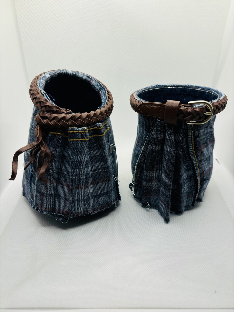 Le couple d'Ecossais