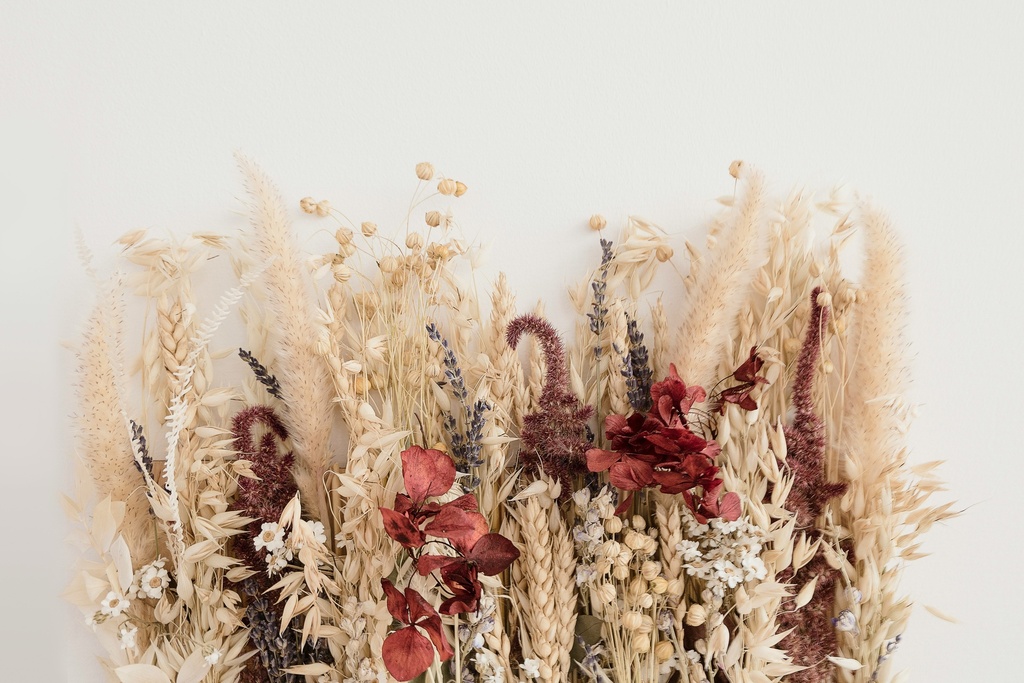 Fleurs séchées 